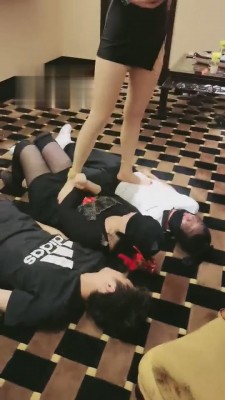 【丹祖宗】三只小狗互相争宠 bf3352_HD绳艺资源