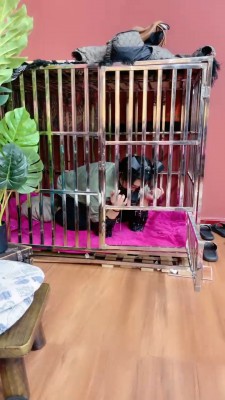 【小祖宗】圈养闺蜜辱骂羞辱 bf20191_HD绳艺资源
