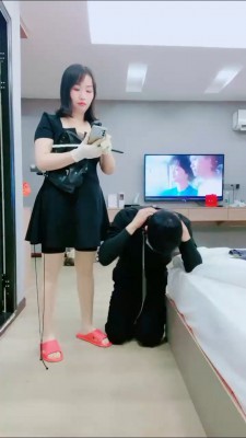 【小月】艺术狗闻臭鞋 bf25068_HD绳艺资源