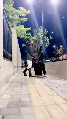 【语阳】挑战迟到的狗-遛狗骑马爬行/转胯抽狗 bf26472_HD绳艺资源
