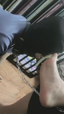 图片[5]_【慕田S】犬化母畜全过程【完整版】_HD绳艺资源