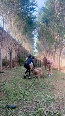 图片[3]_【沅芷大人】4S户外处刑-麻袋套-高难度挑战训练/踢踹_HD绳艺资源