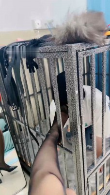 图片[2]_【木子大大】黑丝jio玩狗笼贱奴_HD绳艺资源