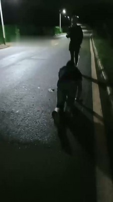 图片[4]_【朱迪】双S户外遛狗散步【双视角版】_HD绳艺资源