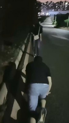 图片[5]_【朱迪】双S户外遛狗散步【双视角版】_HD绳艺资源