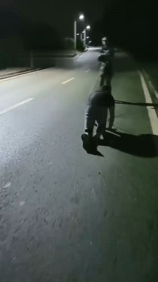 图片[6]_【朱迪】双S户外遛狗散步【双视角版】_HD绳艺资源