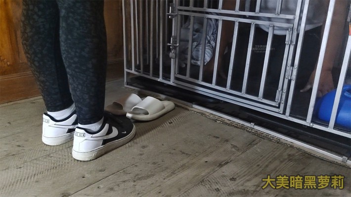 图片[3]_【大美】8分钟不间断语言羞辱强迫喂食圈养狗_HD绳艺资源