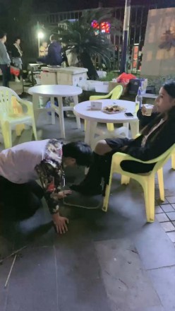 【惑心】贱狗舔我臭白袜