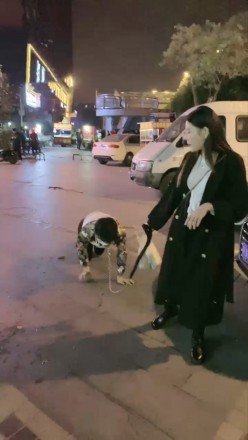 【惑心】贱狗舔我臭白袜