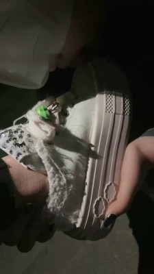 图片[5]_【女仆店S】带素人妹妹户外玩母畜_HD绳艺资源