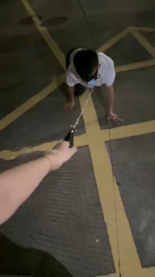 图片[2]_【莉宝儿】花式户外虐-挑战锁脖子遛狗/多奴下跪_HD绳艺资源