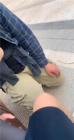 悠然 公园遛狗_HD绳艺资源