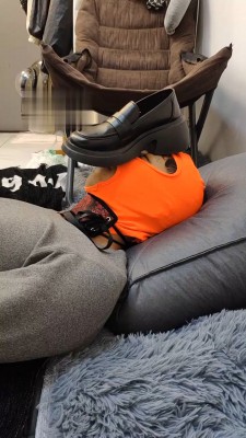 图片[6]_【玥野兔】臭脚丫气味羞辱控制_HD绳艺资源