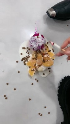 【苏御大大】给狗制作黑暗料理_HD绳艺资源
