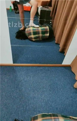 图片[9]_【清见】母畜镜前羞辱-舔皮鞋白袜-骑马-耳光_HD绳艺资源