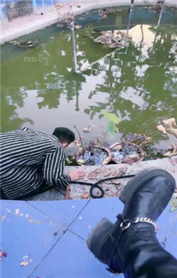 【宸宸】狗奴才清理庄园池塘_HD绳艺资源