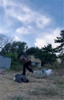 图片[8]_【允薇】庄园清理女主脏泥靴底/训练飞踹踩踏_HD绳艺资源