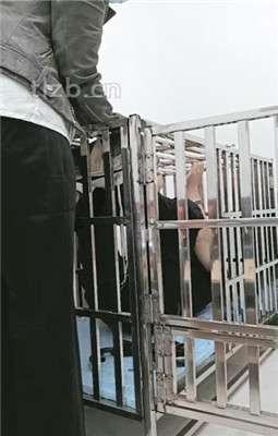 图片[6]_【朱迪S】双S-狗笼囚禁/舔原味jio【双视角版】_HD绳艺资源