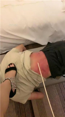 〖H.P.L栖心之栈〗—实现愿望的小精灵POV HPL-230214