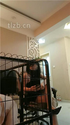 图片[4]_【傲雪】香水控制-严厉艺术耳光【双视角版】_HD绳艺资源