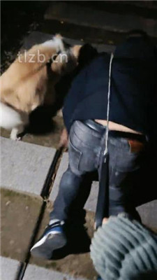 图片[7]_【诗琪】户外骑马骑脖遛狗_HD绳艺资源