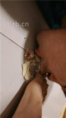 图片[13]_【鱼子酱】小狗的美食盛宴_HD绳艺资源