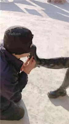 图片[20]_【玥悦S】姐妹花S-藤条训练/户外踩虐/骑马【双视角完整版】_HD绳艺资源