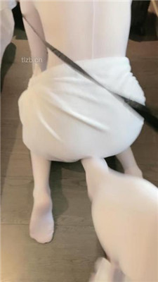 图片[2]_【柠萌小主】羞耻感拉满-皮鞋白丝辱虐狗_HD绳艺资源