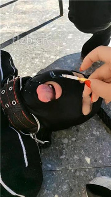 图片[8]_【广东迪迪】双S-户外-公开处刑遛狗_HD绳艺资源