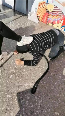 图片[17]_【广东迪迪】双S-户外-公开处刑遛狗_HD绳艺资源