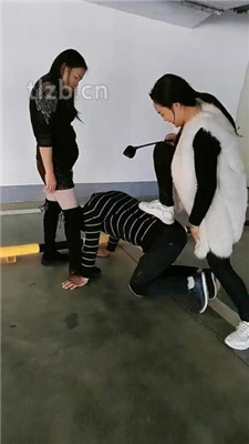 图片[3]_【广州迪迪】双S-户外停车场遛狗【双视角版】_HD绳艺资源