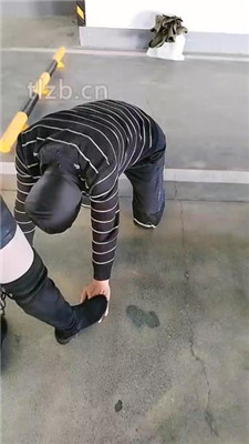 图片[5]_【广州迪迪】双S-户外停车场遛狗【双视角版】_HD绳艺资源