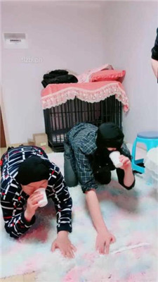 图片[12]_【艾琳】双S-圈养犬化奴才【双视角版】_HD绳艺资源