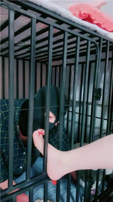 图片[15]_【艾琳】双S-圈养犬化奴才【双视角版】_HD绳艺资源