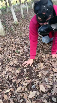 图片[3]_【爱丽丝S】户外遛狗-舔长靴/训练/闻棉袜_HD绳艺资源