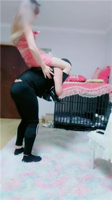 图片[6]_【北京艾琳】骑马犬化爬行_HD绳艺资源