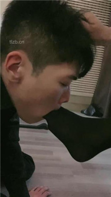 【羽工作室】雷安娜的夫妻狗系列2 YC-230303