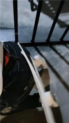 图片[2]_【月岚】户外长靴踩狗-藤条抽_HD绳艺资源