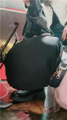 【彼岸花】骑瘫大胖狗 YC-230324-5
