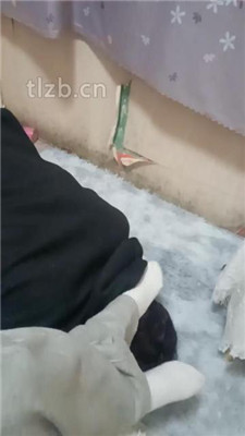 图片[6]_【酱酱果】白袜脚踩地毯狗_HD绳艺资源