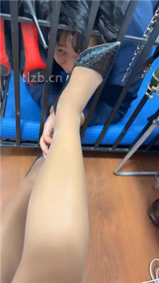 【冰色】狗笼囚禁犬化_HD绳艺资源