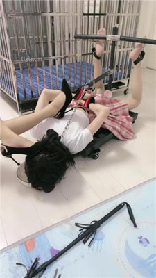 图片[17]_【狠欣人】母畜-脚喂食-反绑囚禁-训练虐-狗笼舔脚_HD绳艺资源