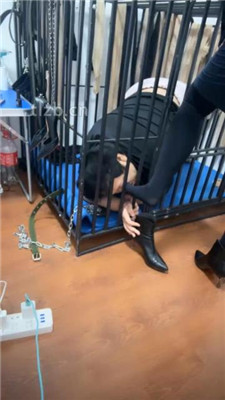 【冰色】狗笼圈养跪舔高跟原味脚_HD绳艺资源