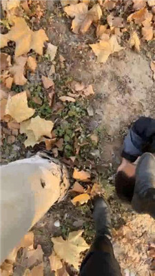 图片[9]_【辣姐】周末公园长靴S遛狗 【续集】_HD绳艺资源