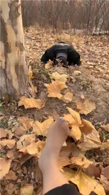 图片[19]_【辣姐】周末公园长靴S遛狗 【续集】_HD绳艺资源