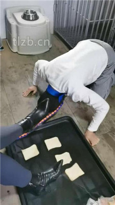 图片[3]_【大美】鞋喂食/吃狗粮/锁住狗畜生_HD绳艺资源
