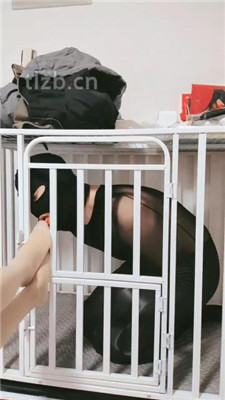 【W.K.T】—Sun女王的惬意踩踏 YC-230415-4