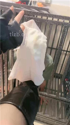 图片[2]_【木子大大】圈养狗笼的狗迷恋内裤_HD绳艺资源