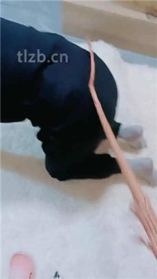 图片[8]_【依然】高跟碾压踩脚垫_HD绳艺资源