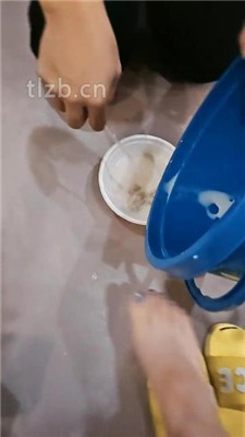 图片[14]_【嘉妮】贝壳头肉丝脚踩虐/伺候沐足_HD绳艺资源